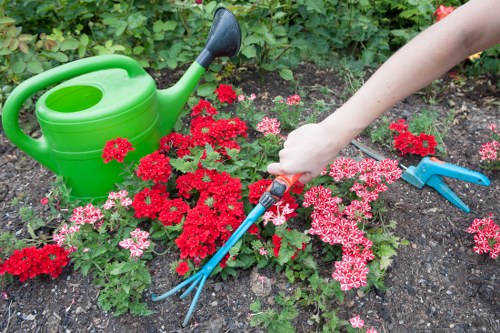 Seasonal flower beds in a well-maintained garden