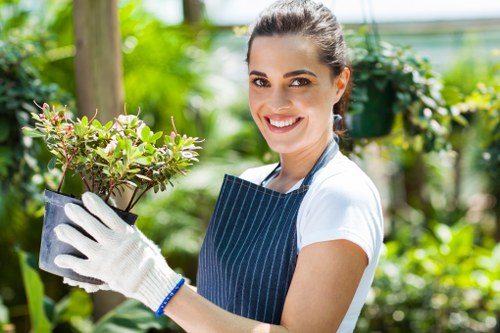 Healthy, well-maintained hedges enhancing garden curb appeal