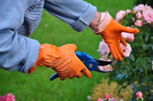 Professionals performing hedge trimming in a lush garden