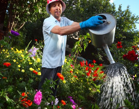 Professionals clearing garden debris in Swiss Cottage