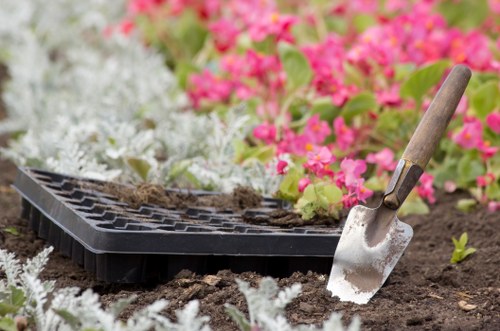 Gardener using tools for garden maintenance